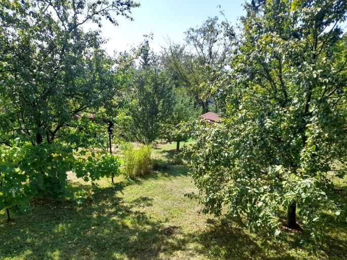 Prodej, Zahrada, Uherský Brod