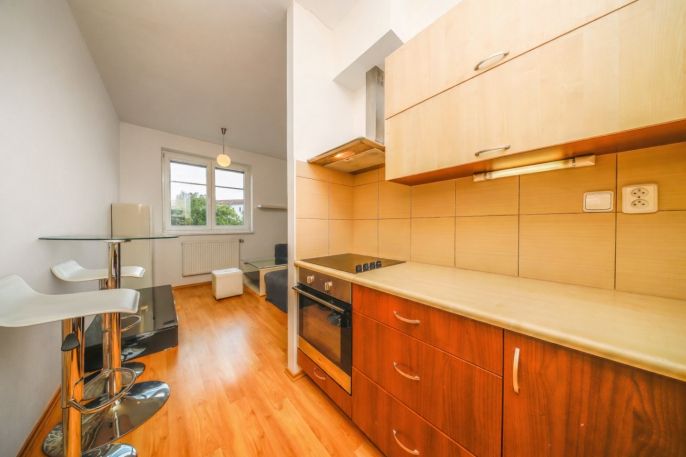 Pronájem, Byt 1+kk, Plzeň