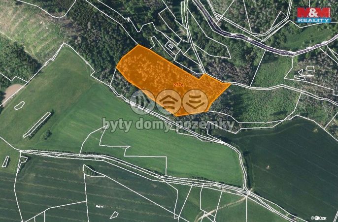 Prodej, Les, Brtnice