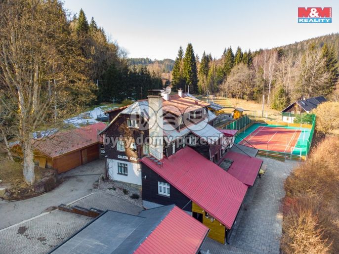 Prodej, Hotel, penzion, Bartošovice v Orlických horách
