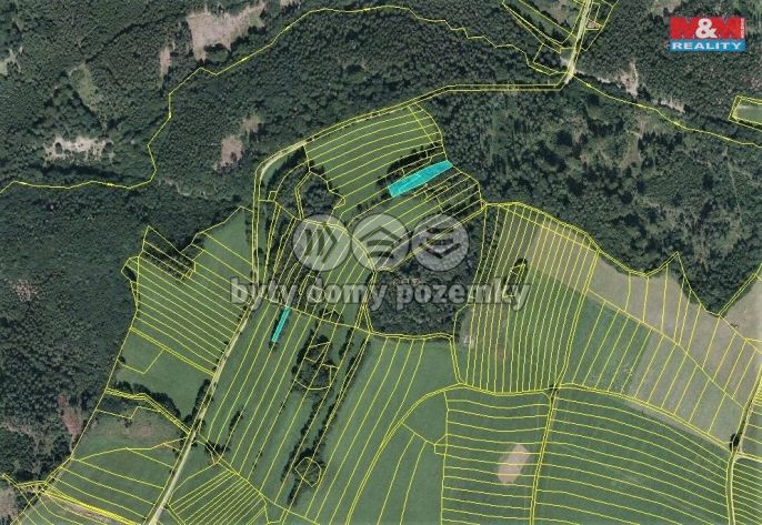 Prodej, Les, Vysoká