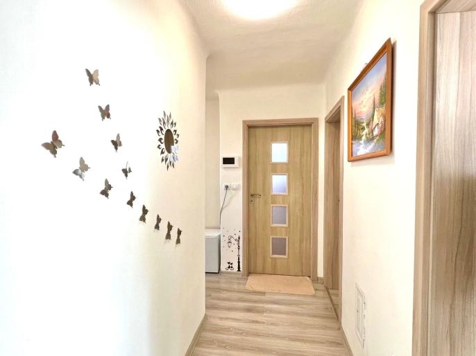 Prodej, Byt 2+1, Město Albrechtice