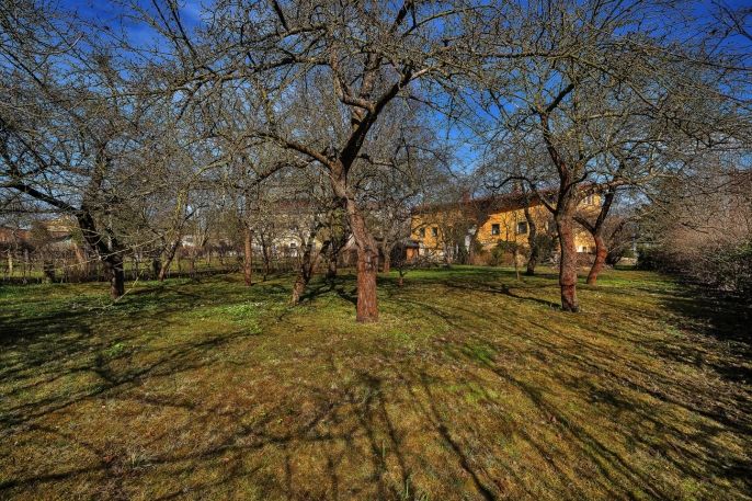 Prodej, Rodinný dům, Broumov