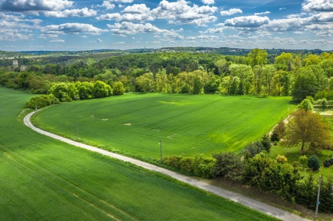 Prodej, Komerční pozemky, Bakov nad Jizerou