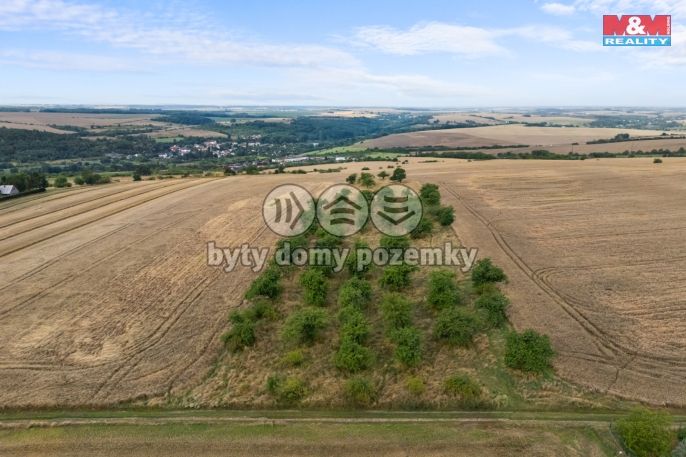 Prodej, Ovocný sad, Kralupy nad Vltavou