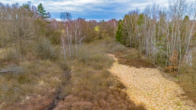 Prodej, Vodní plocha, Dvory nad Lužnicí
