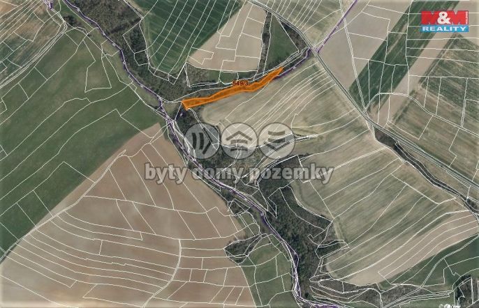 Prodej, Les, Dobříč