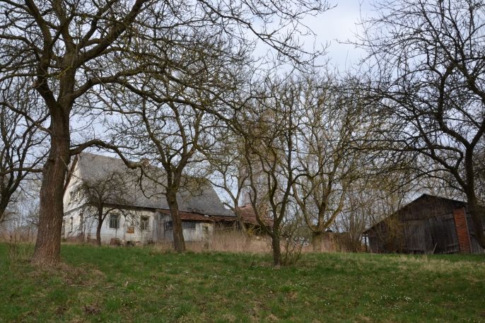 Prodej, Rodinný dům, Bohdašín