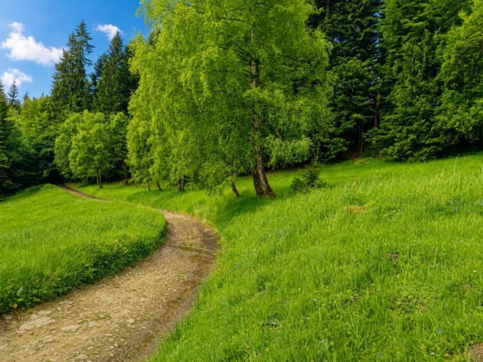 Prodej, Pozemek k bydlení, Vysoká nad Kysucou