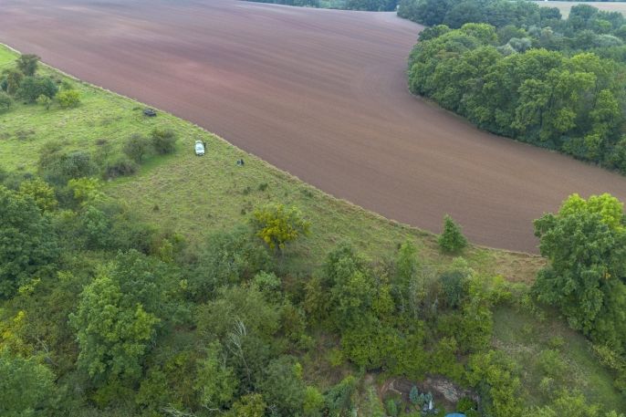 Prodej, Ovocný sad, Žleby