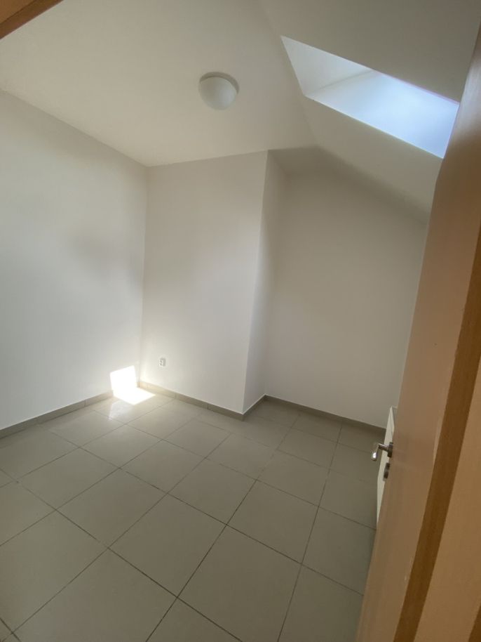 Pronájem, Byt 1+1, Těšany