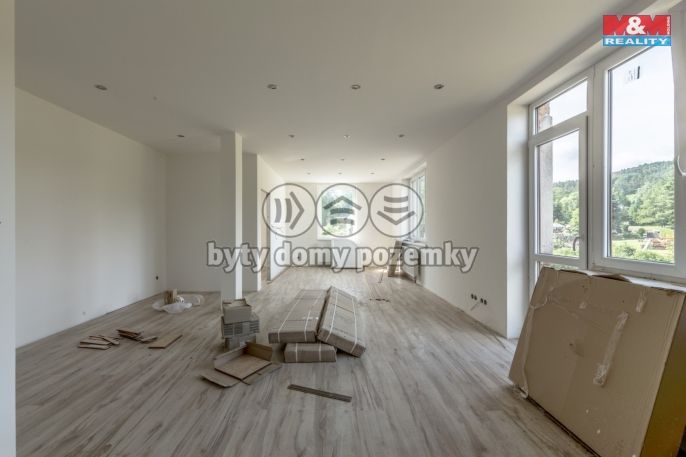 Prodej, Výrobní objekt, Chřibská