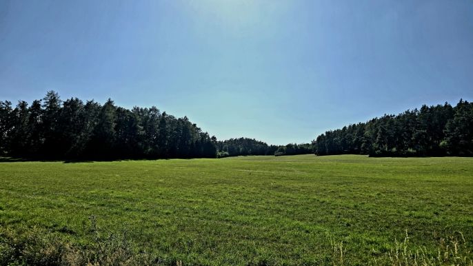 Prodej, Louka, Horažďovice