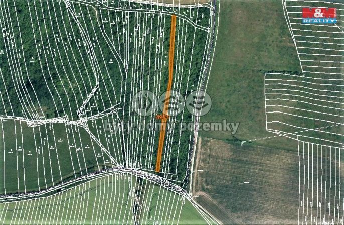 Prodej, Ovocný sad, Syrovín