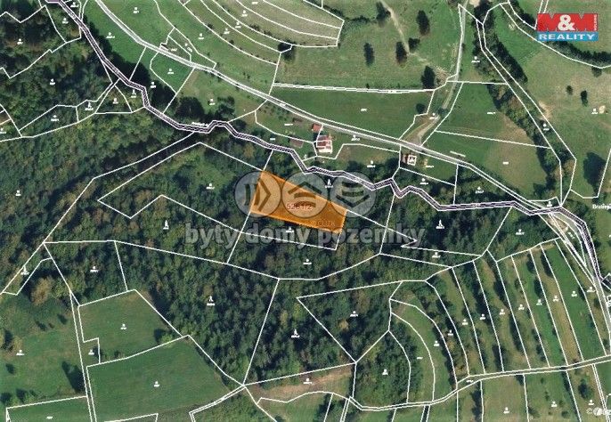 Prodej, Les, Huslenky