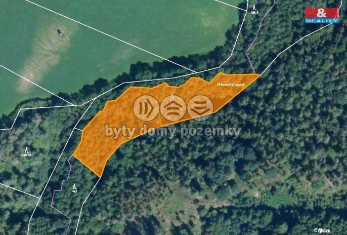 Prodej, Les, Borotice