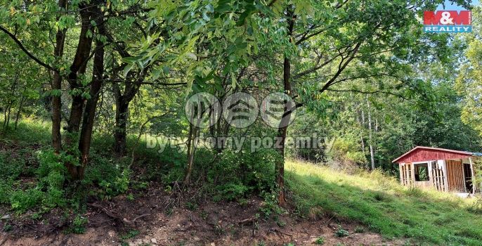 Prodej, Chata, Úštěk