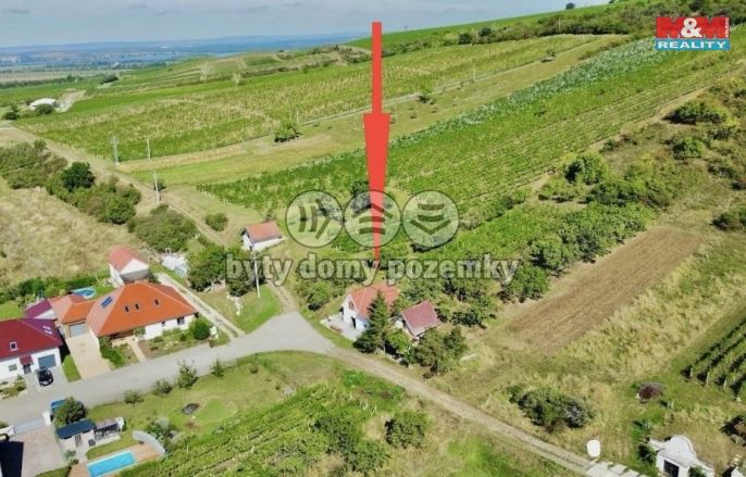 Prodej, Vinný sklep, Perná