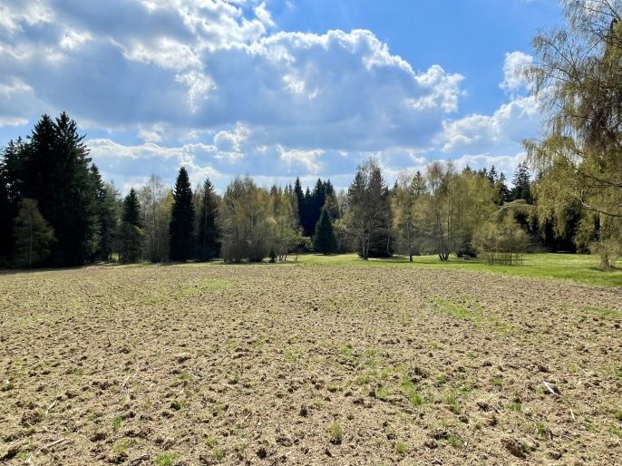 Prodej, Rodinný dům, Nový Rychnov