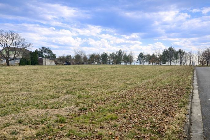 Prodej, Pozemek k bydlení, Velké Albrechtice