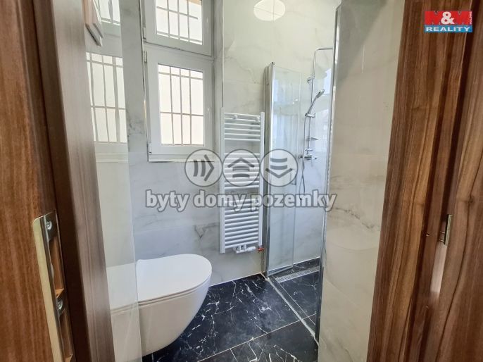 Pronájem, Byt 3+kk, Plzeň