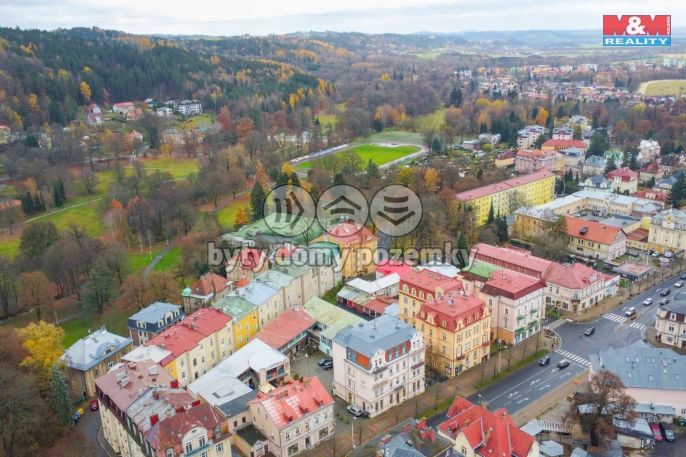 Prodej, Byt 3+1, Mariánské Lázně