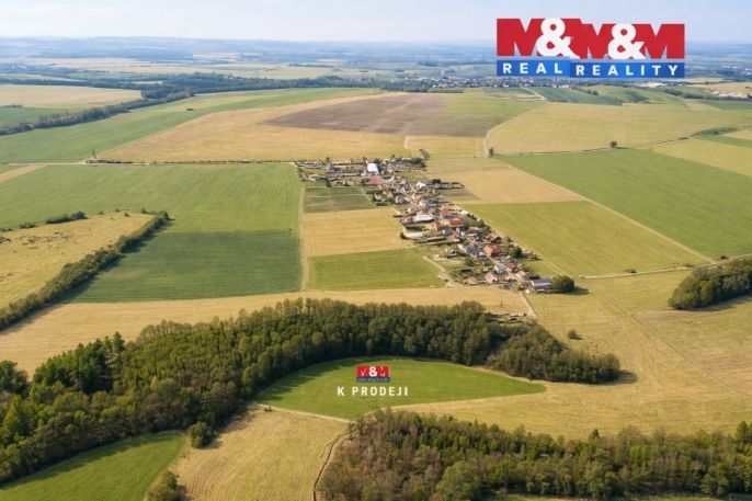 Prodej, Louka, Čistá