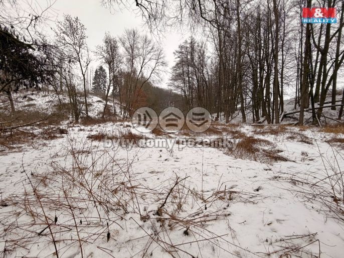 Prodej, Vodní plocha, Dolní Hořice