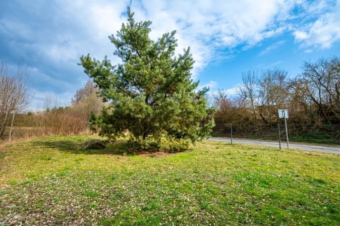 Prodej, Rodinný dům, Vidice