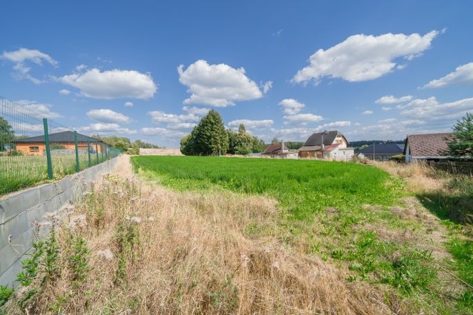 Prodej, Ostatní, Plesná