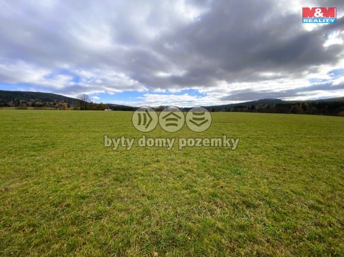 Prodej, Pole, Křižánky