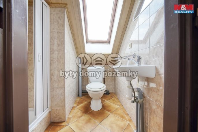 Prodej, Hotel, penzion, Dolní Žandov