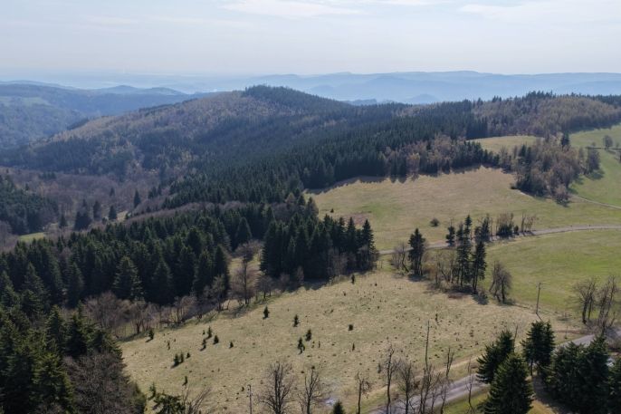 Prodej, Les, Měděnec