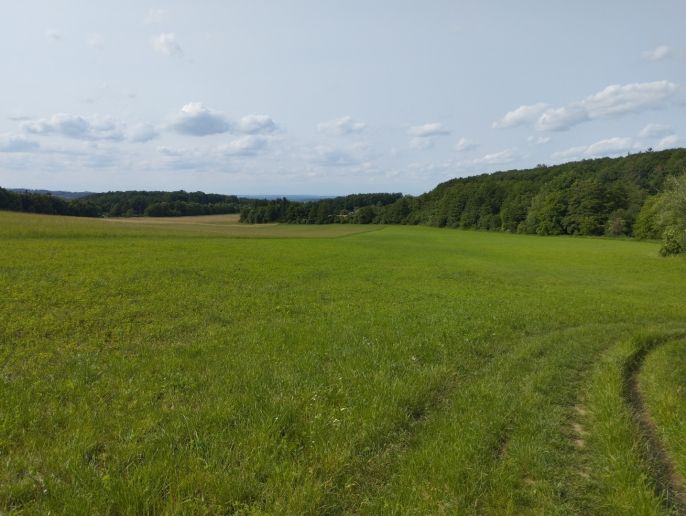 Pronájem, Chata, Heřmanův Městec