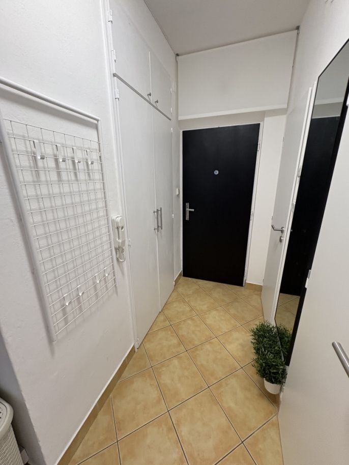 Pronájem, Byt 3+1, Opava