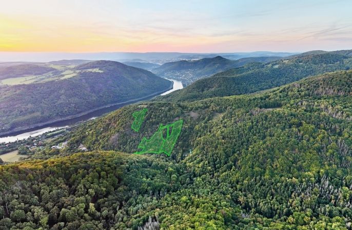 Prodej, Les, Ústí nad Labem
