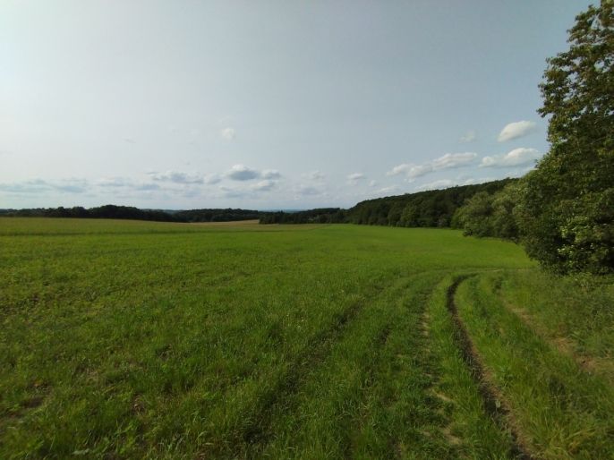 Pronájem, Chata, Heřmanův Městec