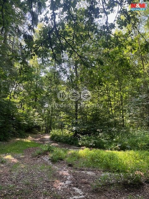 Prodej, Les, Mírová pod Kozákovem