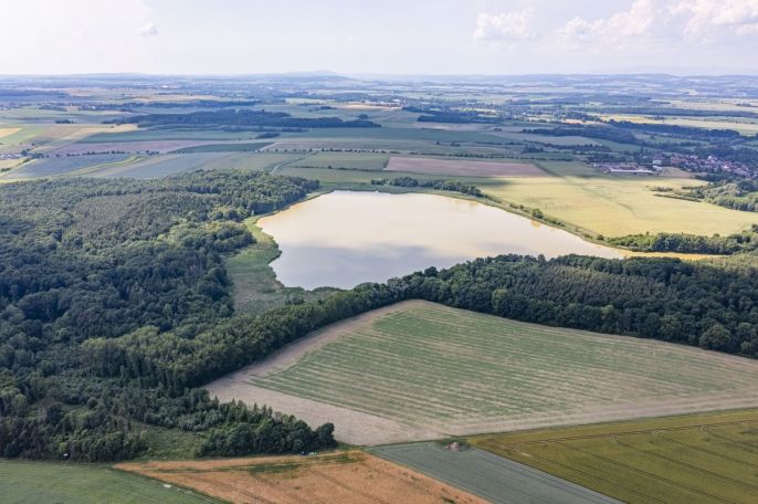 Prodej, Les, Bohuslavice