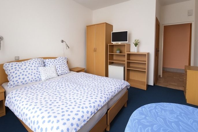 Prodej, Hotel, penzion, Podhájska