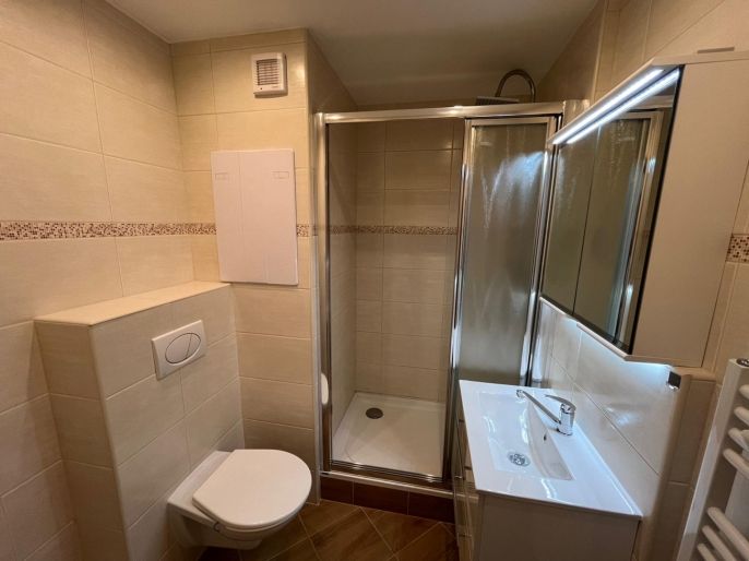 Pronájem, Byt 1+1, Děčín