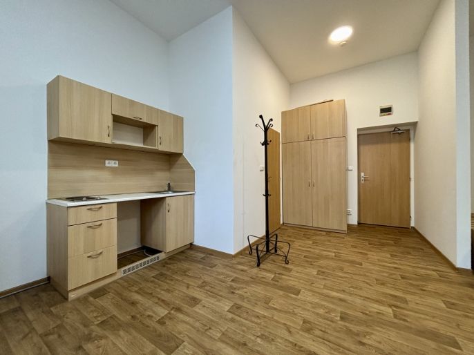 Pronájem, Byt 1+kk, Ostrava