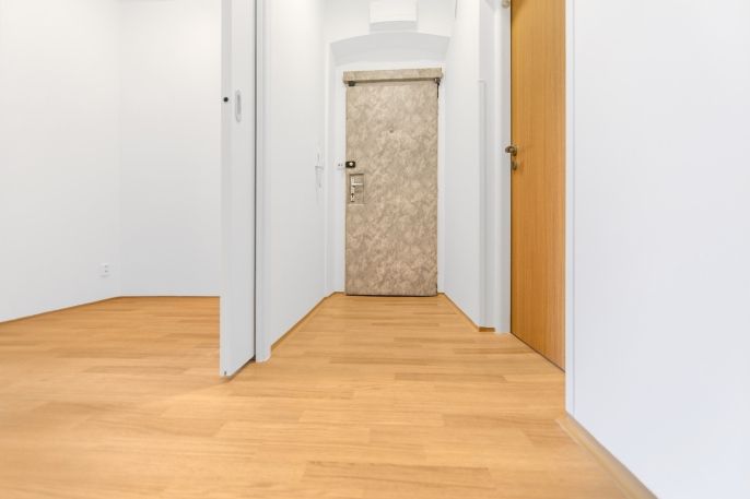 Pronájem, Byt 1+1, Plzeň