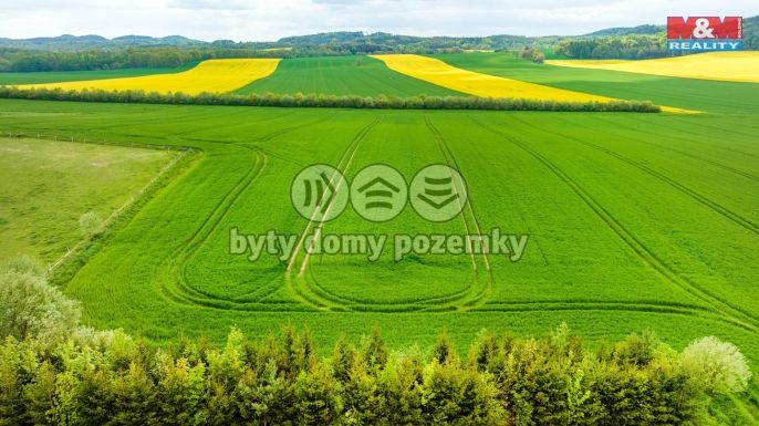 Prodej, Komerční pozemky, Tachov