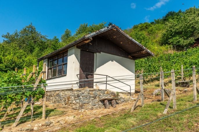 Prodej, Pozemek k bydlení, Viničné Šumice