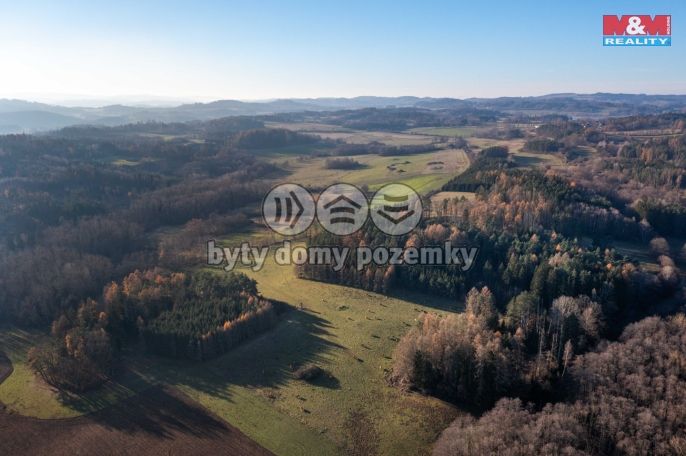 Prodej, Les, Nalžovské Hory