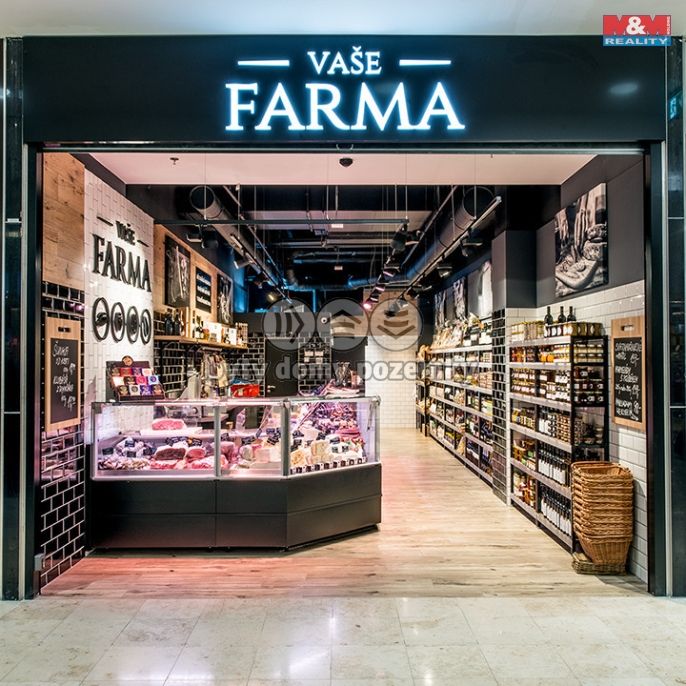 Pronájem, Obchod a služby, Praha