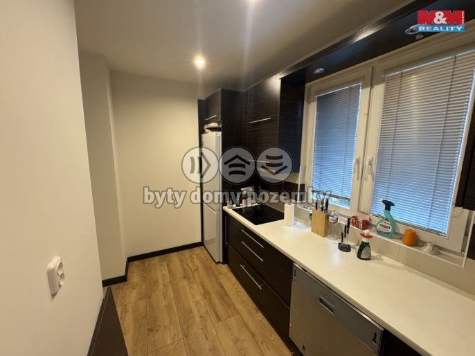 Pronájem, Byt 3+kk, Opava