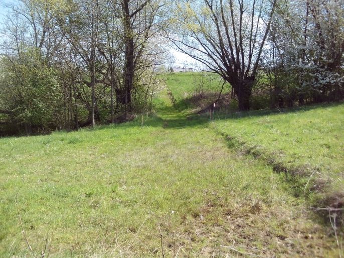 Prodej, Zahrada, Horní Bludovice