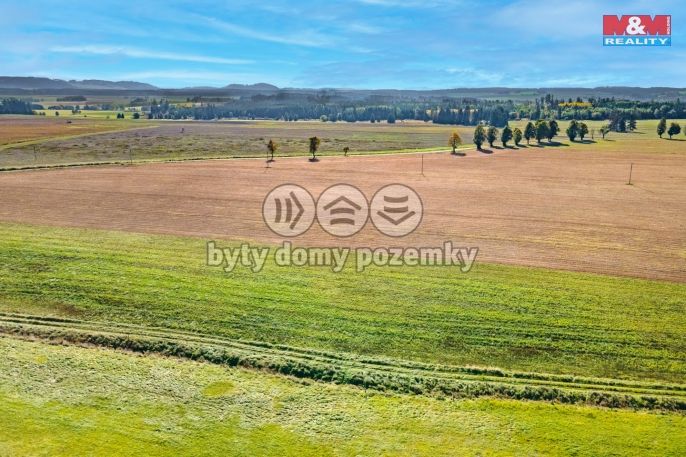 Prodej, Pole, Krásné Údolí